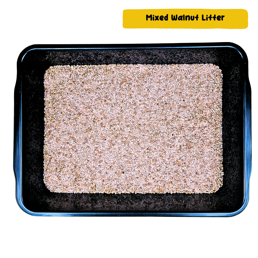 Woody Walnut Litter