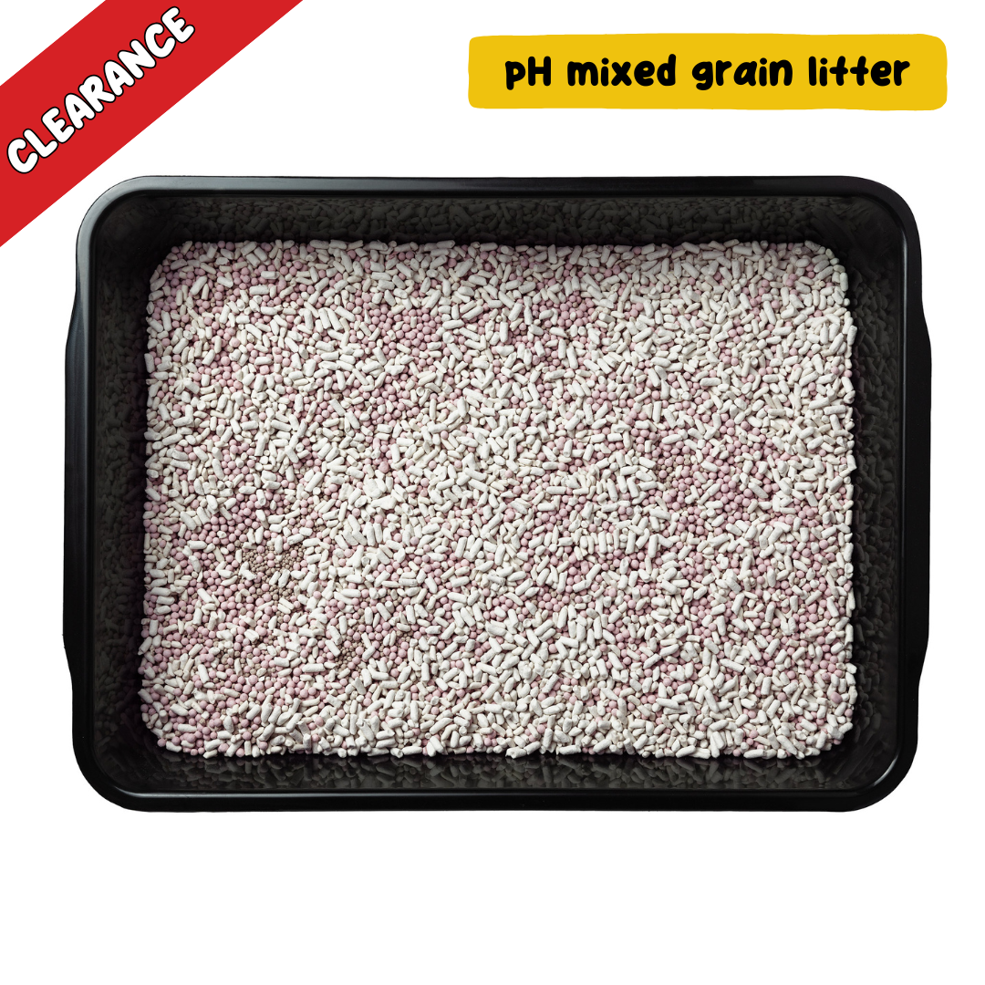Speckle Litter