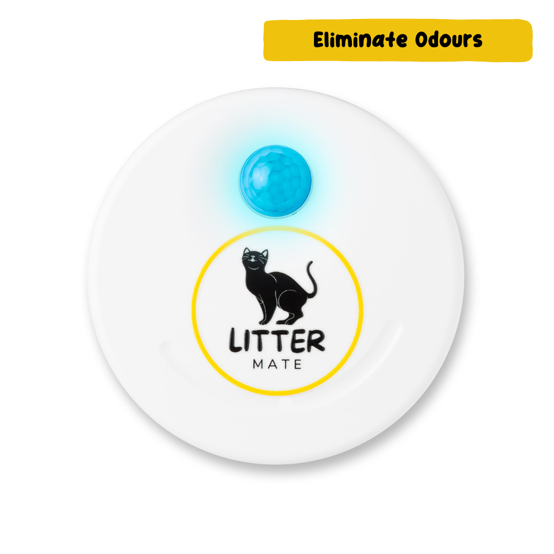Litter Air Purifier