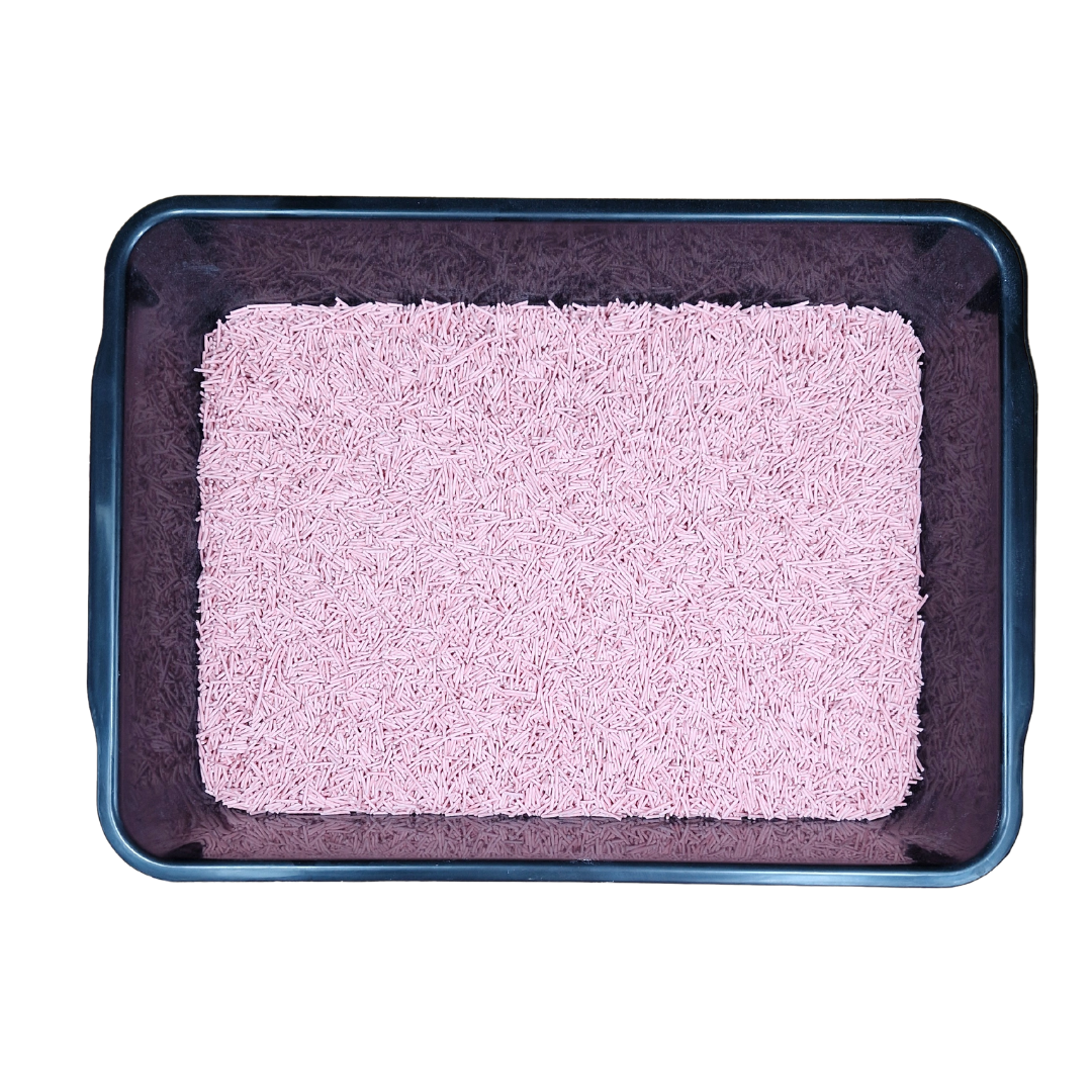 Pink Tofu Litter