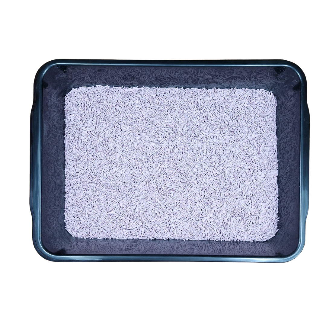 Purple Tofu Litter