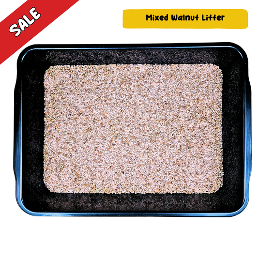 Woody Walnut Litter