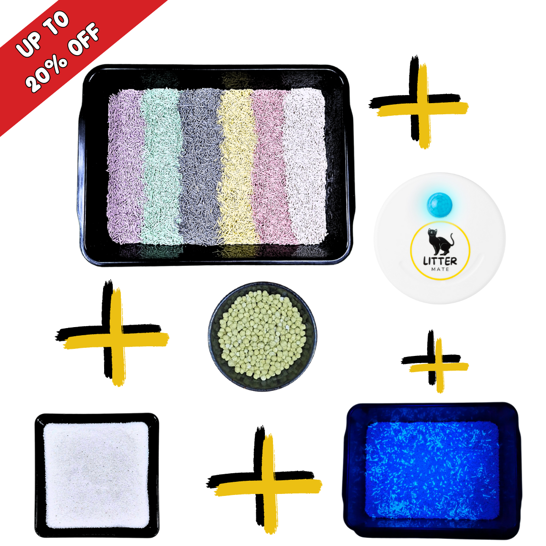 6L Starter Bundle